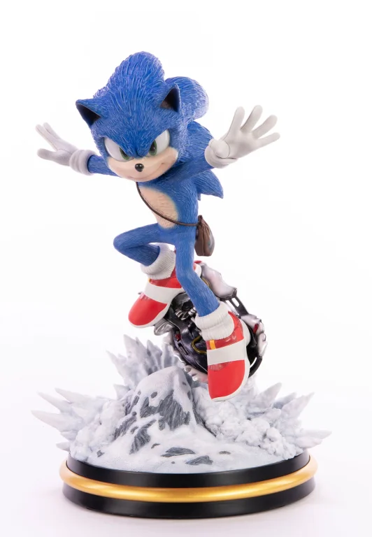 Sonic - First 4 Figures - Sonic the Hedgehog (Mountain Chase)