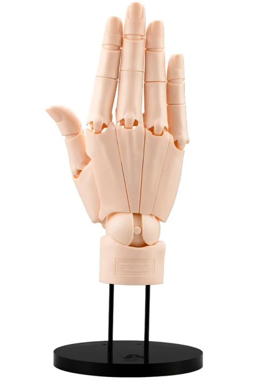 ARTIST SUPPORT ITEM - Hand Model/R (Pale Orange)