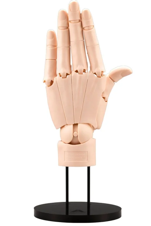 ARTIST SUPPORT ITEM - Hand Model/L (Pale Orange)