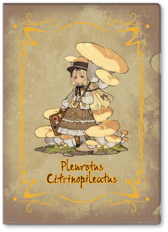 The Mushroom Girls - Scale Figure - Pleurotus Citrinopileatus